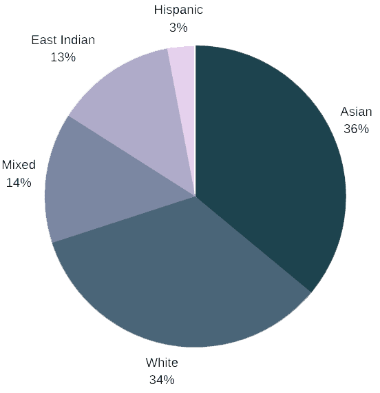 Pie chart showing 36% Asian, 34% white, 14% mixed, 13% East Indian and 3% Hispanic