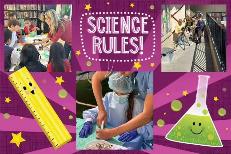 Collage of science activities with the text Science Rules!