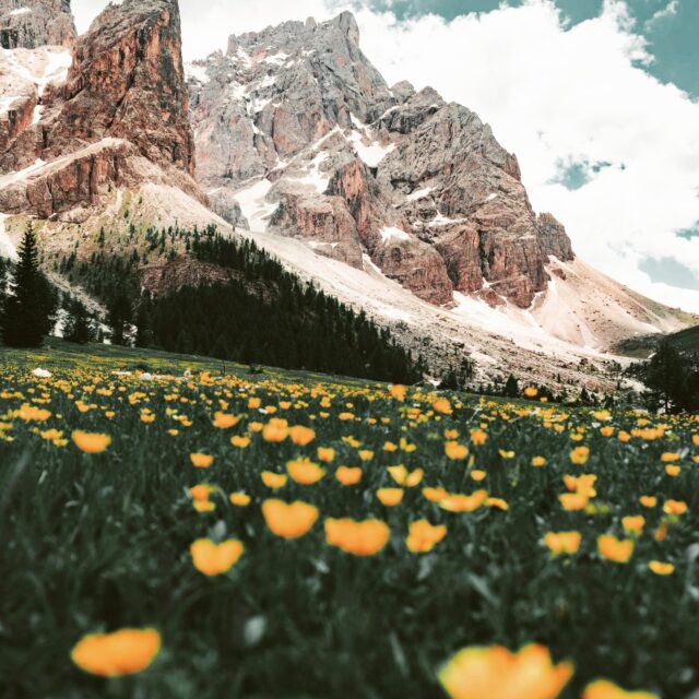 Serene view #bucketlist